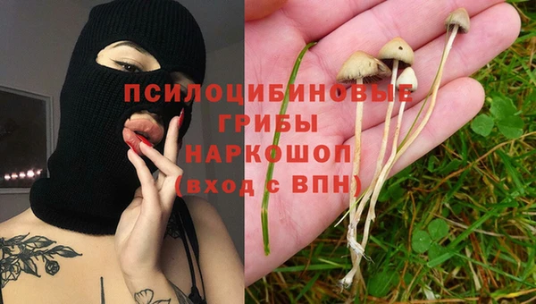 молекула духа Красноперекопск