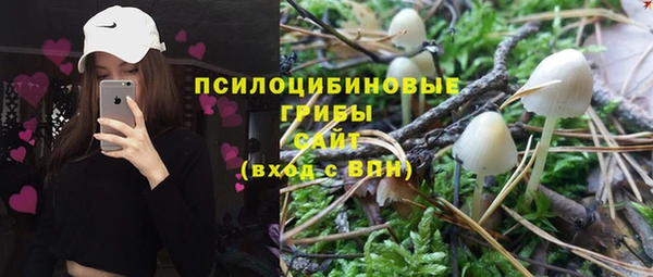 молекула духа Красноперекопск