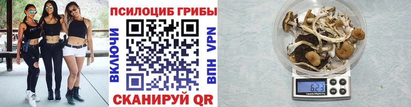 Псилоцибиновые грибы GOLDEN TEACHER  Меленки 